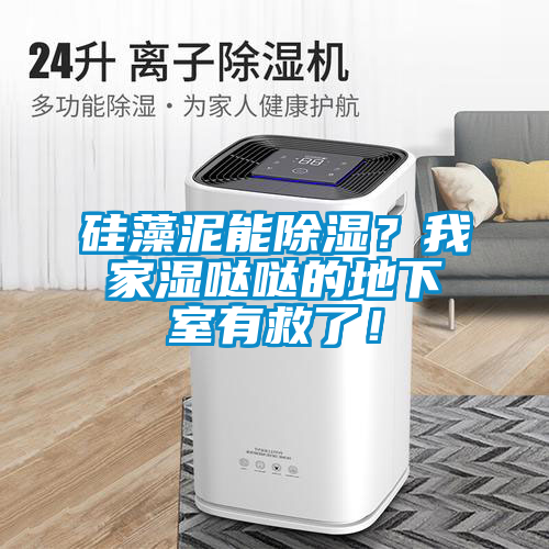 硅藻泥能除濕？我家濕噠噠的地下室有救了！