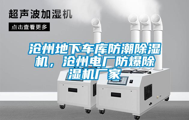 滄州地下車(chē)庫(kù)防潮除濕機(jī)，滄州電廠防爆除濕機(jī)廠家