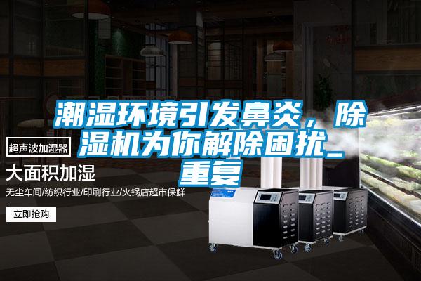 潮濕環(huán)境引發(fā)鼻炎，除濕機(jī)為你解除困擾_重復(fù)