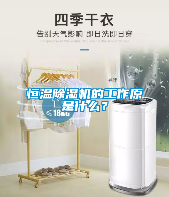 恒溫除濕機的工作原是什么？