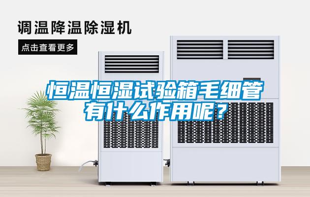 恒溫恒濕試驗(yàn)箱毛細(xì)管有什么作用呢？