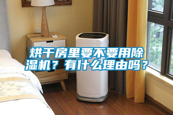 烘干房里要不要用除濕機(jī)？有什么理由嗎？