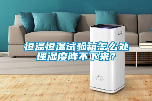 恒溫恒濕試驗箱怎么處理濕度降不下來？