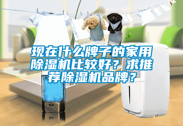 現(xiàn)在什么牌子的家用除濕機(jī)比較好？求推薦除濕機(jī)品牌？