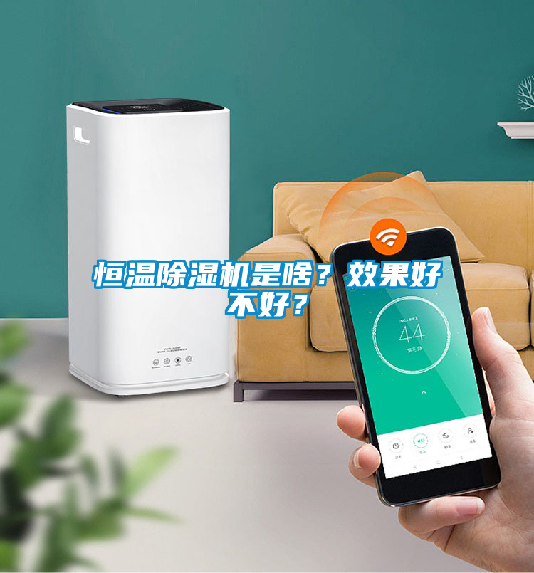 恒溫除濕機(jī)是啥？效果好不好？