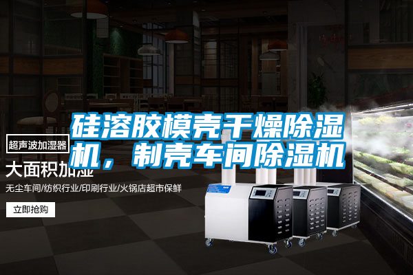 硅溶膠模殼干燥除濕機(jī)，制殼車間除濕機(jī)