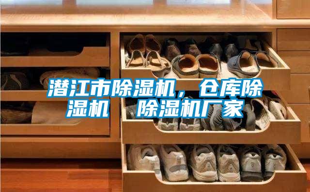 潛江市除濕機(jī)，倉庫除濕機(jī)  除濕機(jī)廠家