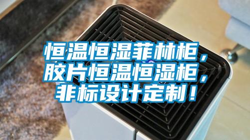 恒溫恒濕菲林柜，膠片恒溫恒濕柜，非標(biāo)設(shè)計定制！