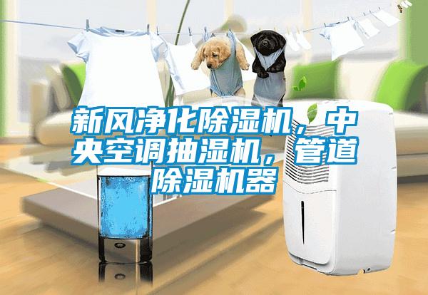 新風(fēng)凈化除濕機(jī)，中央空調(diào)抽濕機(jī)，管道除濕機(jī)器