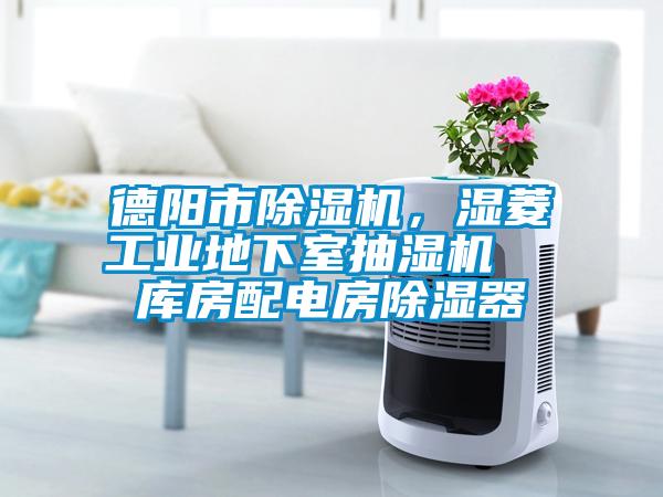 德陽(yáng)市除濕機(jī)，濕菱工業(yè)地下室抽濕機(jī)  庫(kù)房配電房除濕器