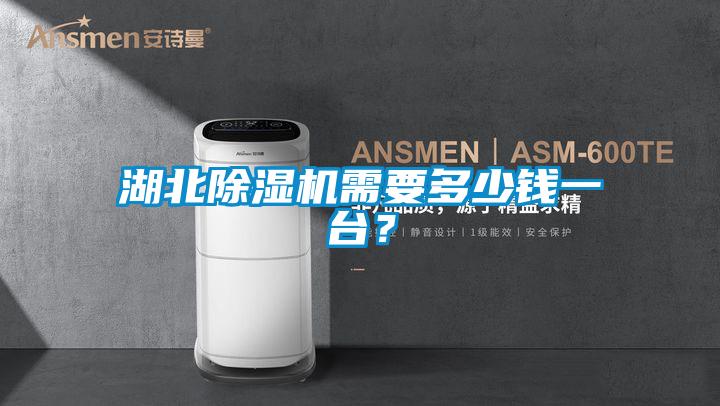 湖北除濕機需要多少錢一臺？