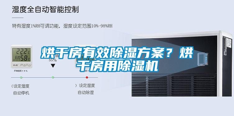 烘干房有效除濕方案？烘干房用除濕機(jī)