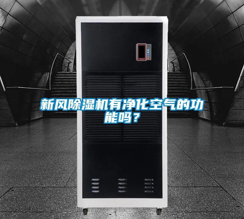 新風(fēng)除濕機有凈化空氣的功能嗎？