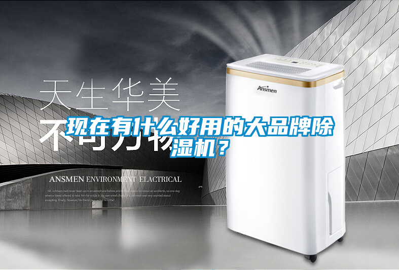 現(xiàn)在有什么好用的大品牌除濕機(jī)？