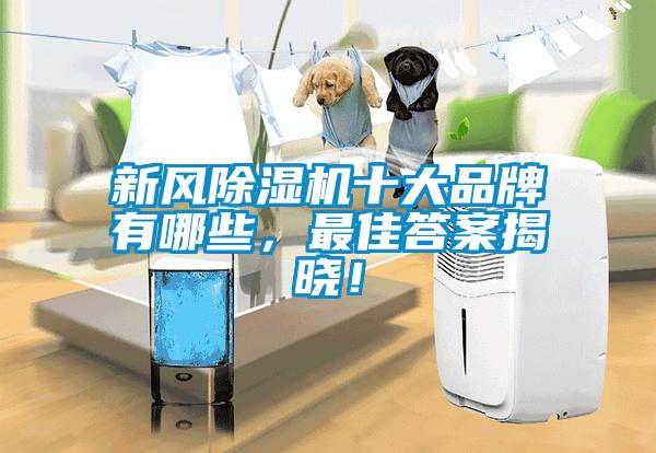 新風(fēng)除濕機(jī)十大品牌有哪些，最佳答案揭曉！