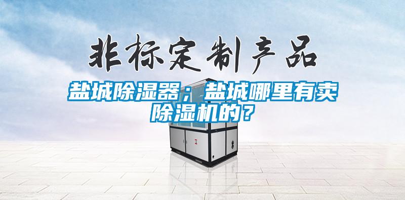 鹽城除濕器；鹽城哪里有賣除濕機(jī)的？