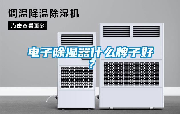 電子除濕器什么牌子好？