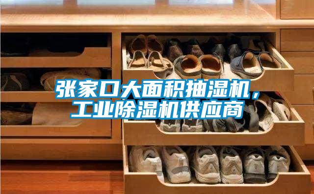 張家口大面積抽濕機，工業(yè)除濕機供應商