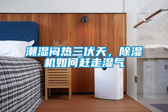 潮濕悶熱三伏天，除濕機如何趕走濕氣