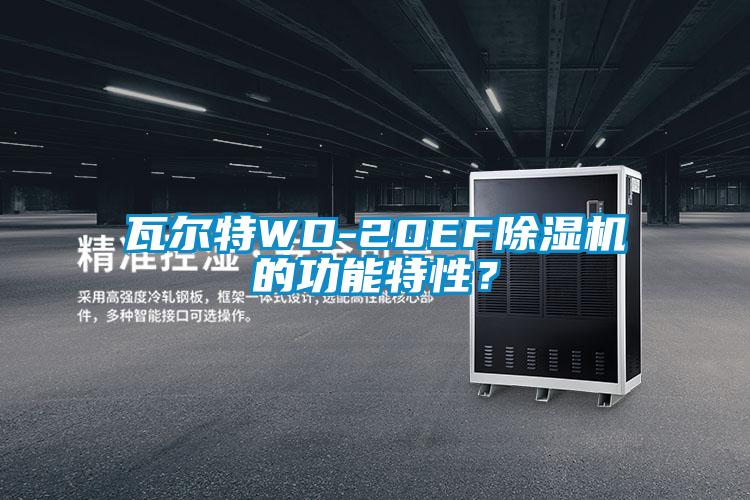 瓦爾特WD-20EF除濕機的功能特性？