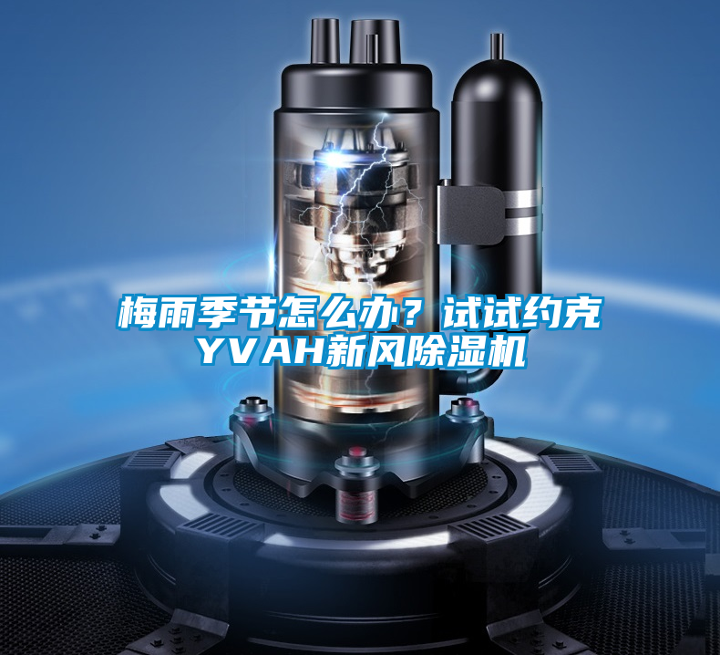 梅雨季節(jié)怎么辦？試試約克YVAH新風(fēng)除濕機(jī)