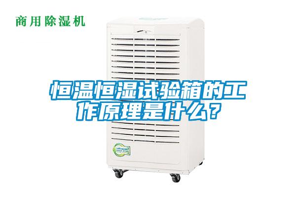 恒溫恒濕試驗箱的工作原理是什么？
