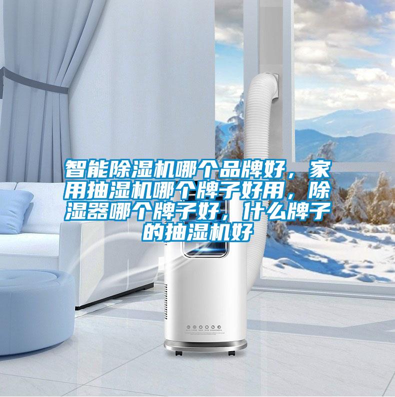 智能除濕機(jī)哪個品牌好，家用抽濕機(jī)哪個牌子好用，除濕器哪個牌子好，什么牌子的抽濕機(jī)好