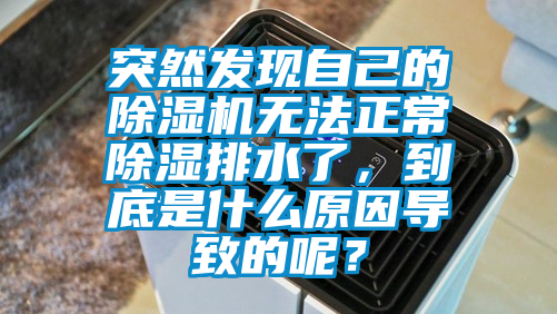 突然發(fā)現(xiàn)自己的除濕機(jī)無(wú)法正常除濕排水了，到底是什么原因?qū)е碌哪兀?/></p>
						    <p style=