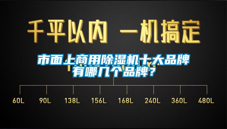 市面上商用除濕機(jī)十大品牌有哪幾個(gè)品牌？