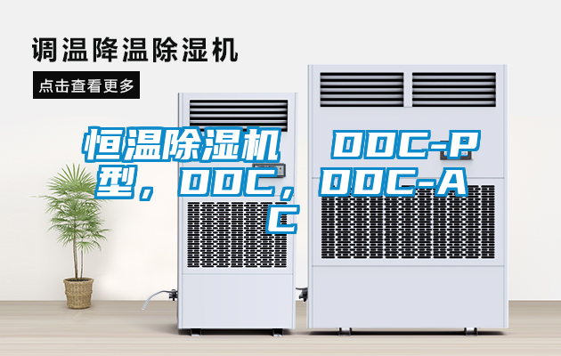恒溫除濕機(jī)  DDC-P型，DDC，DDC-AC