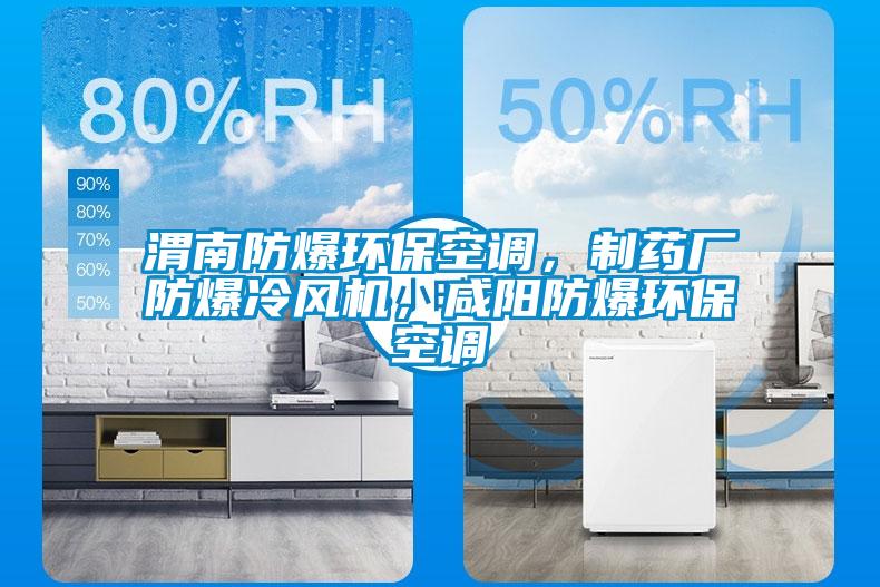 渭南防爆環(huán)?？照{(diào)，制藥廠防爆冷風機，咸陽防爆環(huán)?？照{(diào)