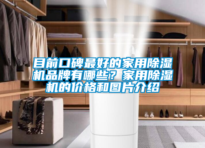 目前口碑最好的家用除濕機品牌有哪些？家用除濕機的價格和圖片介紹
