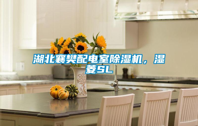 湖北襄樊配電室除濕機(jī)，濕菱SL