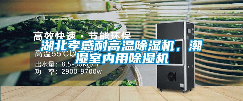 湖北孝感耐高溫除濕機(jī)，潮濕室內(nèi)用除濕機(jī)