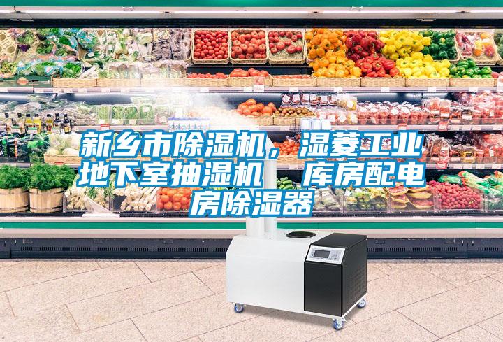 新鄉(xiāng)市除濕機(jī)，濕菱工業(yè)地下室抽濕機(jī)  庫房配電房除濕器