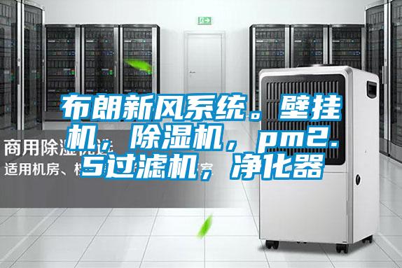 布朗新風(fēng)系統(tǒng)。壁掛機(jī)，除濕機(jī)，pm2.5過(guò)濾機(jī)，凈化器
