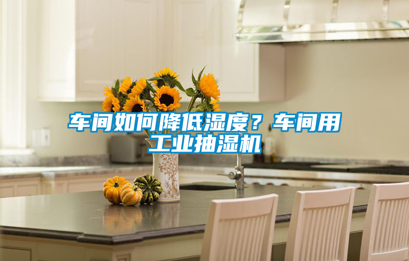車間如何降低濕度？車間用工業(yè)抽濕機(jī)