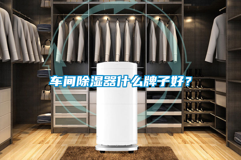 車間除濕器什么牌子好？