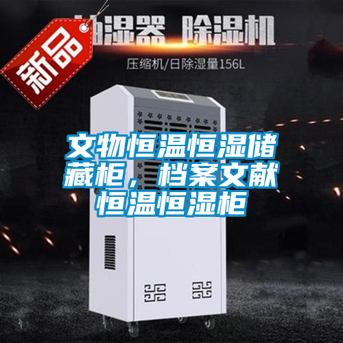文物恒溫恒濕儲藏柜，檔案文獻恒溫恒濕柜