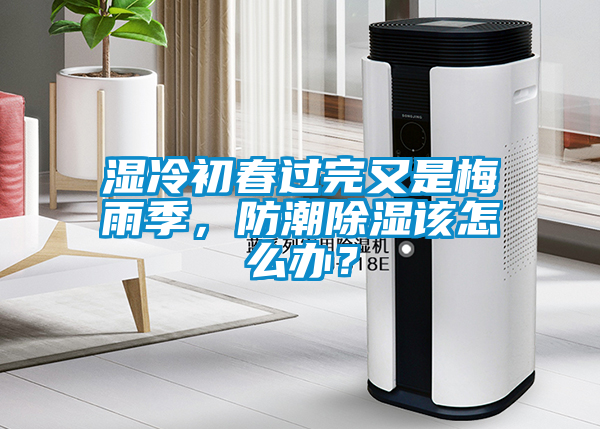 濕冷初春過完又是梅雨季，防潮除濕該怎么辦？