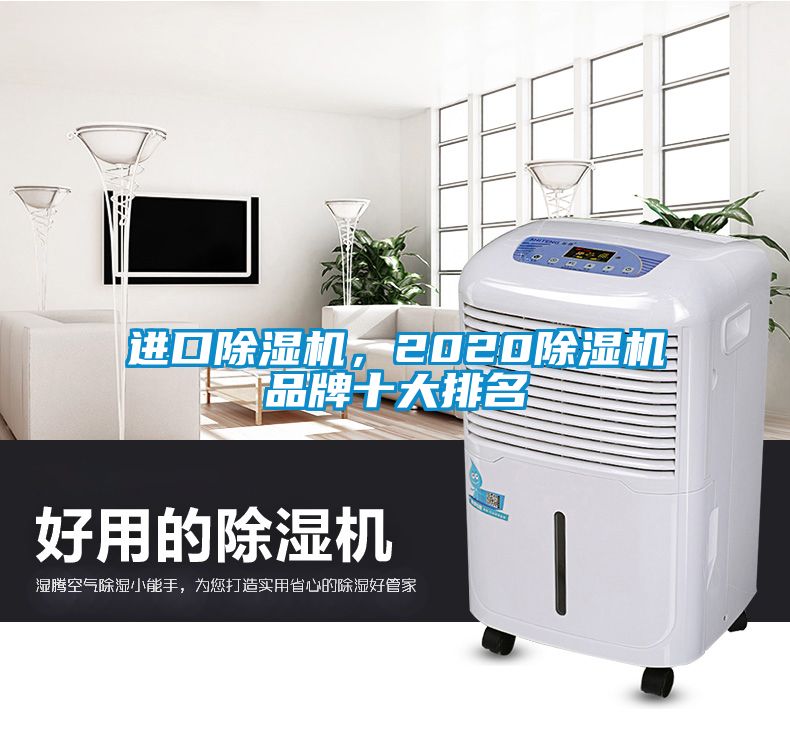 進口除濕機，2020除濕機品牌十大排名