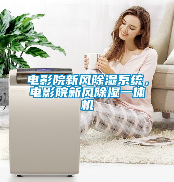 電影院新風除濕系統(tǒng)，電影院新風除濕一體機