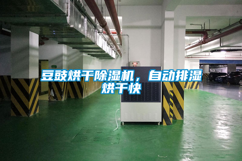 豆豉烘干除濕機(jī)，自動(dòng)排濕烘干快