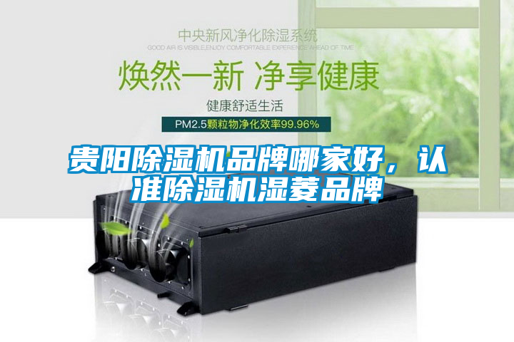 貴陽除濕機品牌哪家好，認準(zhǔn)除濕機濕菱品牌