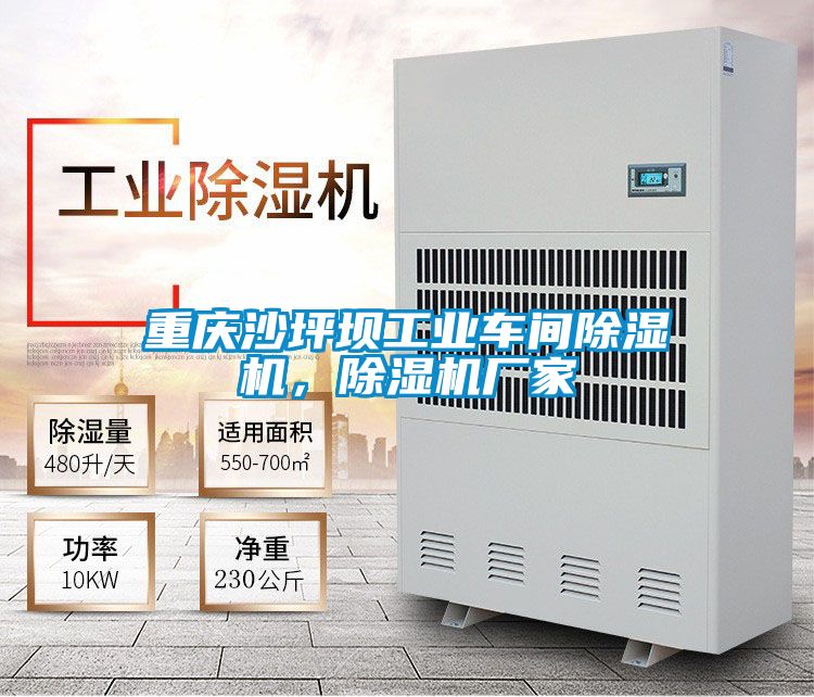 重慶沙坪壩工業(yè)車間除濕機(jī)，除濕機(jī)廠家