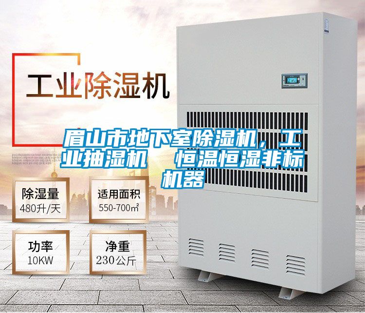眉山市地下室除濕機(jī)，工業(yè)抽濕機(jī)  恒溫恒濕非標(biāo)機(jī)器
