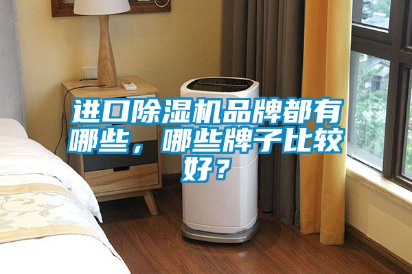 進(jìn)口除濕機(jī)品牌都有哪些，哪些牌子比較好？