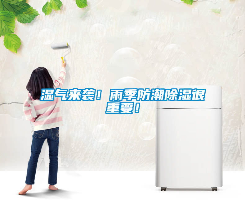 濕氣來(lái)襲！雨季防潮除濕很重要！