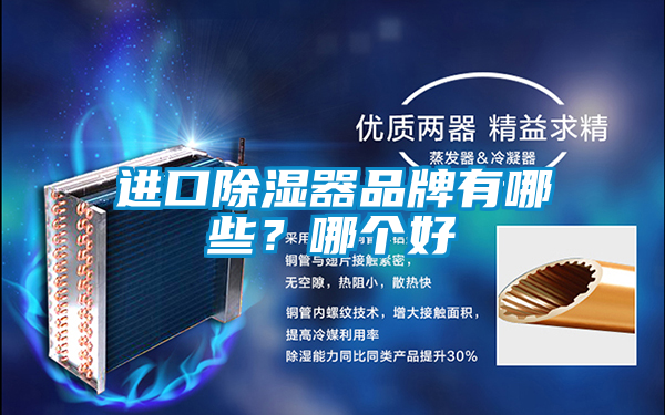 進(jìn)口除濕器品牌有哪些？哪個好