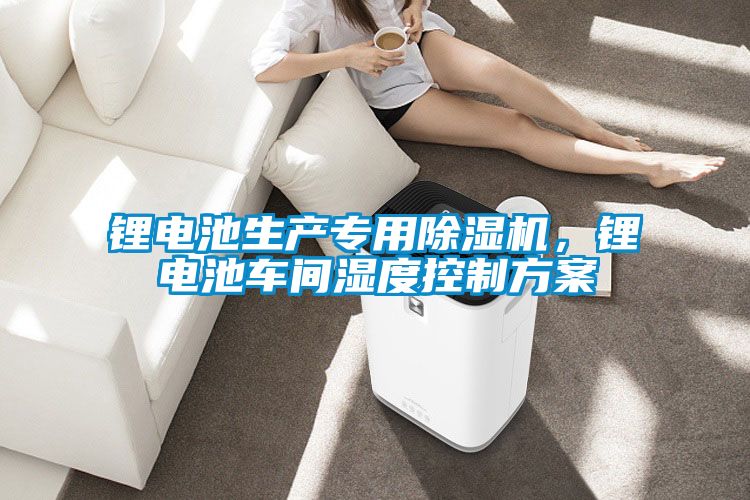 鋰電池生產(chǎn)專用除濕機(jī)，鋰電池車間濕度控制方案